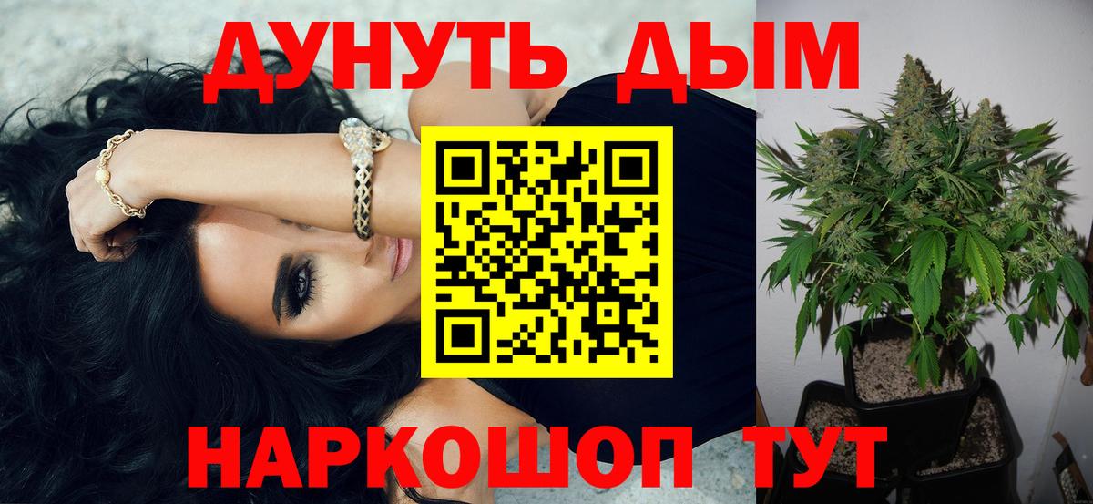Конопля планчик Губкин
